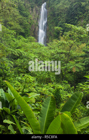 Dominica, Roseau, Roseau Valley, Trafalgar Wasserfälle Stockfoto