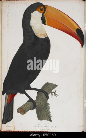 Le Toco. Nr. 2 ein Tukan. Histoire Naturelle des Oiseaux de Paradis et des Rolliers, Suivie de Celle des Tukane et des Barbus. Paris, 1806. Quelle: 39. Ich. 7-8 Platte 2. Thema: Le Vaillant, § ois Français. BARRABAND, Jacques. Stockfoto