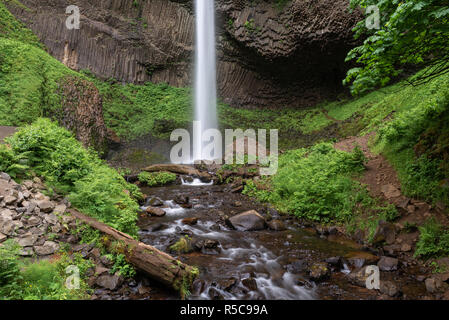 Latourell fällt in Columbia River Gorge, Oregon, USA Stockfoto