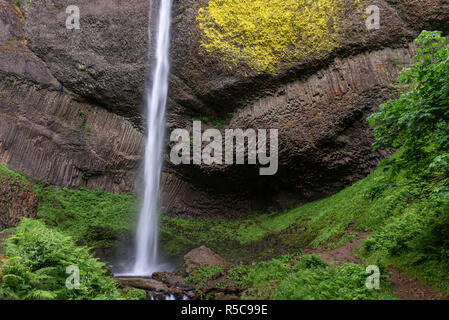 Latourell fällt in Columbia River Gorge, Oregon, USA Stockfoto