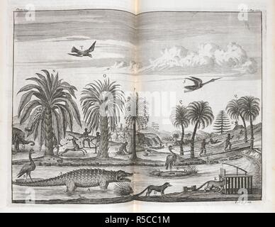 Eine Abbildung, die Menschen und die Tierwelt Afrikas. Eine Beschreibung der Küsten von Nord- und South-Guinea; und von Äthiopien unterlegen, ordinär, Angola: Wird eine neue... Konto der Westlichen maritimen Ländern Afrikas. In sechs Bücher. , Die sich auf eine geografische, politische und natürliche Geschichte der Königreiche... mit einer vollen Berücksichtigung aller europäischen Siedlungen ... und ein neues Verhältnis der Provinz Guayana, und der großen Flüsse von Amazonen und Oronoque in Südamerika. Mit einem Anhang; ein allgemeines Konto des ersten Entdeckungen von Amerika, etc. [mit Platten. 1732. Quelle: 566. k Stockfoto