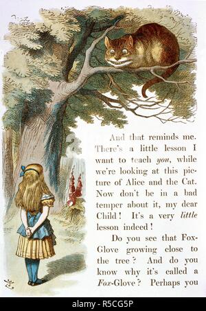 Die Cheshire Cat. Die Baumschule: Alice,: Mit zwanzig en gefärbt. Macmillan & Co.: London, 1890. Quelle: Cup. 410. g 74, gegenüber 35. Sprache: Englisch. Autor: TENNIEL, John. Carroll, Lewis, pseud. [D. h. Charles Lutwidge Dodgson]. Stockfoto