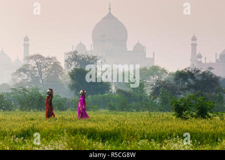 Frauen, die Wasser Töpfe, Taj Mahal, Agra, Indien Stockfoto