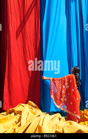 Frau Saree Kontrolle frisch gefärbten Stoff hängen von Bambusstangen zu trocknen, Sari Textilfabrik, Rajasthan, Indien, (MR/PR) Stockfoto