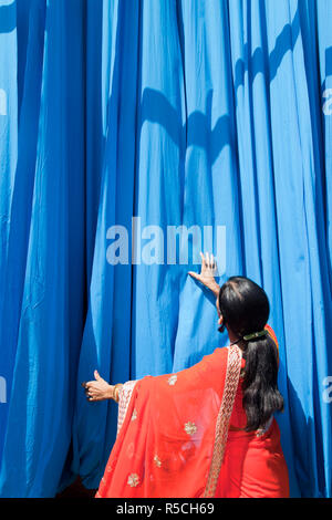 Frau Saree Kontrolle frisch gefärbten Stoff hängen von Bambusstangen zu trocknen, Sari Textilfabrik, Rajasthan, Indien, (MR/PR) Stockfoto