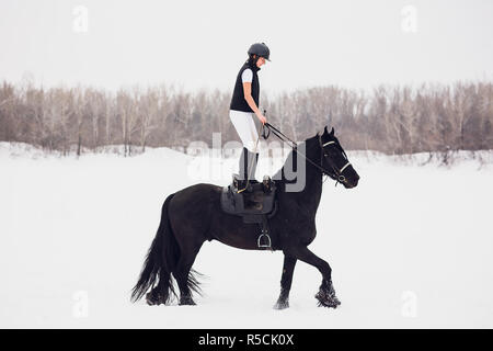 Friesischer Hengst laufen im Winter Feld. Ein Mädchen steht auf einem Pferd auf einem Hintergrund auf Winter. Der Reiter führt einen Trick. Stockfoto
