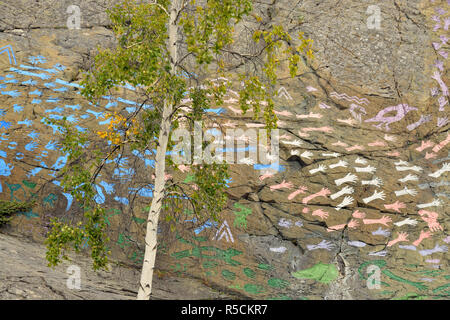 Felsvorsprung in der Altstadt mit bemalten Kunstwerken, Yellowknife, Northwest Territories, Kanada Stockfoto