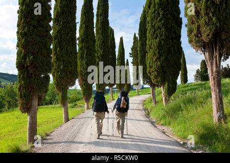 Kurvenreiche Straße, nr Pienza, Toskana, Italien Stockfoto