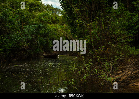 Garça Branca White Crane Ardea alba Stockfoto