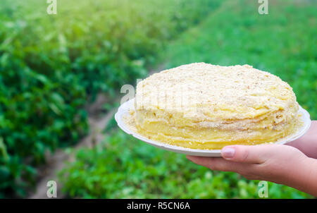 Napoleon Kuchen in weibliche Hände. süße Speisen. frisch zubereitet. grüner Hintergrund Stockfoto