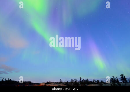 Aurora borealis über borealen Wald entlang Ingraham Trail, Yellowknife, Nordwest-Territorien, Kanada Stockfoto