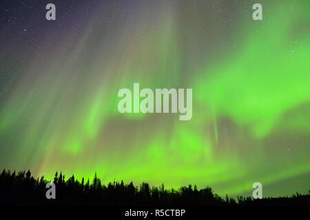 Aurora Borealis, Yellowknife, Northwest Territories, Kanada Stockfoto