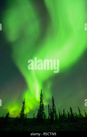 Aurora Borealis entlang der Ingraham Spur, Yellowknife, Northwest Territories, Kanada Stockfoto