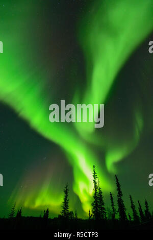 Aurora Borealis entlang der Ingraham Spur, Yellowknife, Northwest Territories, Kanada Stockfoto