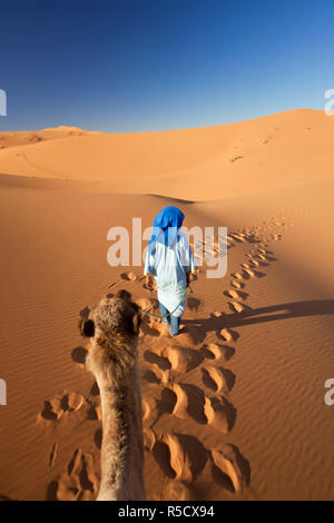 Tuareg Mann Kamel, Erg Chebbi, Sahara, Marokko Stockfoto