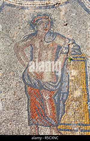 Mosaik vom Haus des Dionysos, Volubilis, Marokko Stockfoto