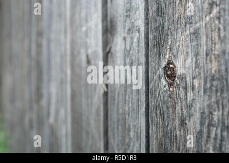 Holz Wand und Board mit astloch und Unschärfe im Hintergrund Stockfoto