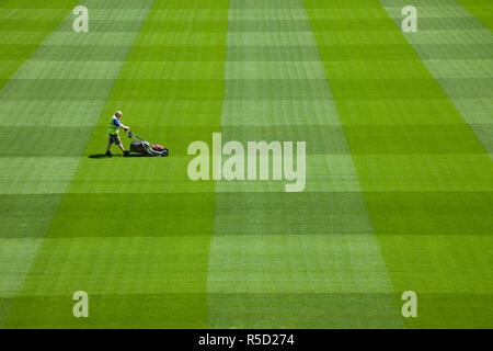 In der Republik Irland, Dublin, Greenkeeper Mähen Wettbewerbsbedingungen im Aviva Stadium Stockfoto