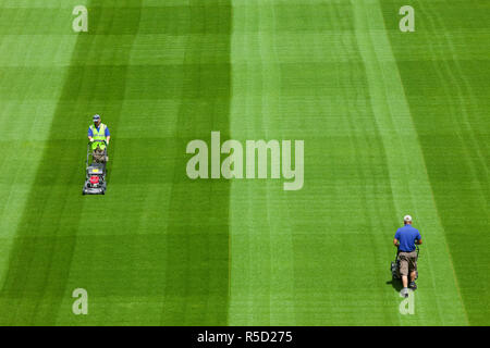 In der Republik Irland, Dublin, Greenkeepers Mähen Wettbewerbsbedingungen im Aviva Stadium Stockfoto