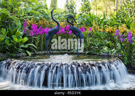 Singapur, botanischen Gärten, Orchidee Gärten Stockfoto