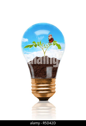 Setzling, der aus dem Boden mit Schmetterling innen Glühlampe. Konzept des neuen Lebens oder Anfang; Umweltschutz oder grüne Bewegung. Ich Stockfoto