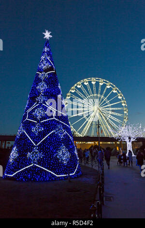 Bournemouth, Dorset, Großbritannien. 25. Nov 2018. Bournemouth Weihnachtsbaum Wunderland mit mehr als 100 glitzernden Bäume und Beleuchtung. Einige der Bäume sind thematisch in sechs Städten rund um die Welt zu repräsentieren - das ist Blue St Petersburg Baum im unteren Gärten mit Baum von Licht in der Ferne und Big Wheel, Riesenrad im Hintergrund. Besucher können den Spuren folgen. Credit: Carolyn Jenkins/Alamy leben Nachrichten Stockfoto