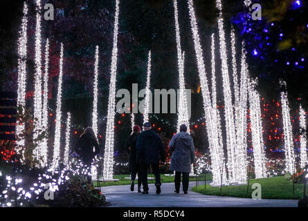 Vancouver, Kanada. 30 Nov, 2018. Die Menschen genießen, sich unter die Weihnachten Licht Dekorationen an der VanDusen Botanical Garden in Vancouver, Kanada, November 30, 2018. Über eine Million Lichter bedeckt über 15 Hektar von Vancouvers VanDusen Botanical Garden als das "Festival der Lichter" für seine 34 Jahre zurück. Credit: Liang Sen/Xinhua/Alamy leben Nachrichten Stockfoto