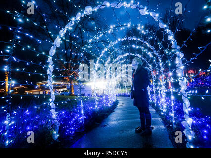 Vancouver, Kanada. 30 Nov, 2018. Ein Besucher schaut sich das Licht Dekorationen an der VanDusen Botanical Garden in Vancouver, Kanada, November 30, 2018. Über eine Million Lichter bedeckt über 15 Hektar von Vancouvers VanDusen Botanical Garden als das "Festival der Lichter" für seine 34 Jahre zurück. Credit: Liang Sen/Xinhua/Alamy leben Nachrichten Stockfoto