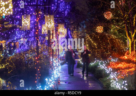 Vancouver, Kanada. 30 Nov, 2018. Die Menschen genießen, sich unter die Weihnachten Licht Dekorationen an der VanDusen Botanical Garden in Vancouver, Kanada, November 30, 2018. Über eine Million Lichter bedeckt über 15 Hektar von Vancouvers VanDusen Botanical Garden als das "Festival der Lichter" für seine 34 Jahre zurück. Credit: Liang Sen/Xinhua/Alamy leben Nachrichten Stockfoto