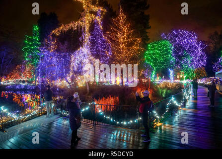 Vancouver, Kanada. 30 Nov, 2018. Die Menschen genießen, sich unter die Weihnachten Licht Dekorationen an der VanDusen Botanical Garden in Vancouver, Kanada, November 30, 2018. Über eine Million Lichter bedeckt über 15 Hektar von Vancouvers VanDusen Botanical Garden als das "Festival der Lichter" für seine 34 Jahre zurück. Credit: Liang Sen/Xinhua/Alamy leben Nachrichten Stockfoto