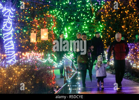 Vancouver, Kanada. 30 Nov, 2018. Die Menschen genießen, sich unter die Weihnachten Licht Dekorationen an der VanDusen Botanical Garden in Vancouver, Kanada, November 30, 2018. Über eine Million Lichter bedeckt über 15 Hektar von Vancouvers VanDusen Botanical Garden als das "Festival der Lichter" für seine 34 Jahre zurück. Credit: Liang Sen/Xinhua/Alamy leben Nachrichten Stockfoto