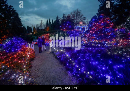 Vancouver, Kanada. 30 Nov, 2018. Licht Dekorationen sind an der VanDusen Botanical Garden in Vancouver, Kanada, Nov. 30, 2018 gesehen. Über eine Million Lichter bedeckt über 15 Hektar von Vancouvers VanDusen Botanical Garden als das "Festival der Lichter" für seine 34 Jahre zurück. Credit: Liang Sen/Xinhua/Alamy leben Nachrichten Stockfoto