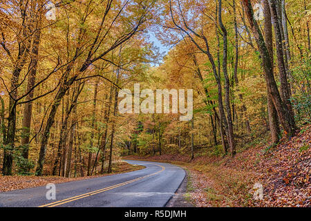 Horizontale Schuß eines geschwungenen Smoky Mountain Road mit Farben des Herbstes. Stockfoto