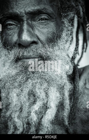 Georgie, Bob Marley Museum, Kingston, St. Andrew Parish, Jamaika, Karibik Stockfoto