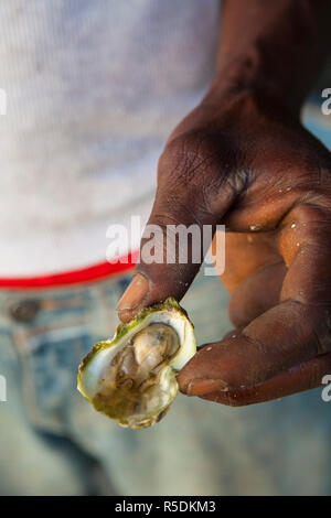 Morant Bay Austern & Firey Chilie Sauce, St. Thomas Parish, Jamaika, Karibik Stockfoto