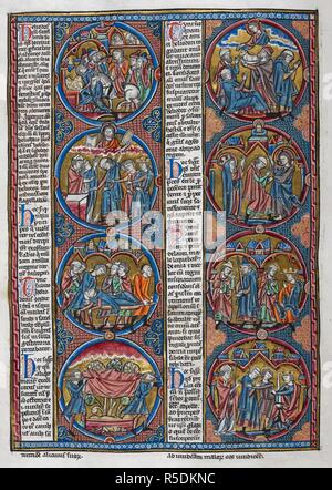 Biblische Szenen und moralizations in einer Serie von acht roundels. Bibel moralisÃ©e (Abschnitt des Oxford-Paris - London Bibel moralisÃ © e), enthält 1 Makkabäer 1 Makkabäer 14:57-2:46. Frankreich, Zentrale (Paris); 2. Quartal des 13. Jahrhunderts. Quelle: Harley 1526, f, 26 v. Sprache: Latein. Stockfoto