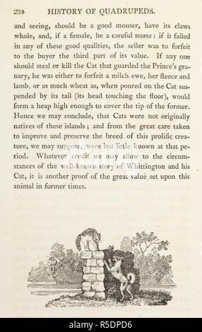 Eine Katze und Hund. [Eine allgemeine Geschichte der Vierbeiner. [Von R. Beilby.] Die Zahlen eingraviert auf Holz von T.Bewick.]. Newcastle-upon-Tyne, 1807. Quelle: 446. d. 18 Seite 284. Autor: BEWICK, Thomas. Beilby, Ralph. Stockfoto