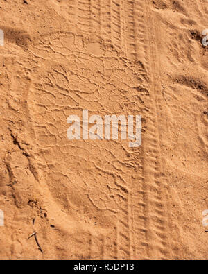 Ein weißes Nashorn Footprint in Rot Sand Stockfoto