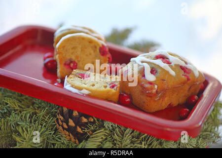 Evergreens und Urlaub cranberry Kuchen Stockfoto