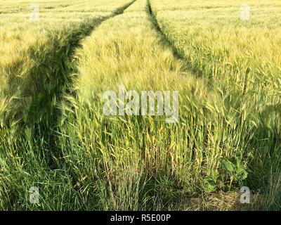 Reifen Titel aus einem großen Traktor in einem Feld Stockfoto