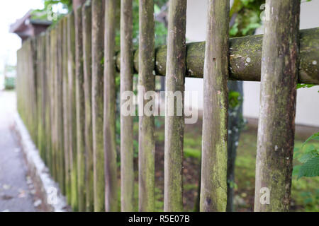 Alte verwitterte Zaun aus Holz mit Moos Stockfoto