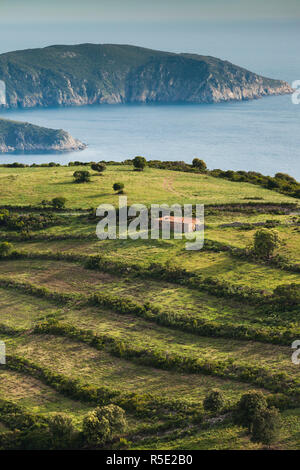 Frankreich, Korsika, Corse-du-Sud Abteilung, die Calanche Region, Piana, erhöhten Blick auf die Plage de Arone Strand Stockfoto