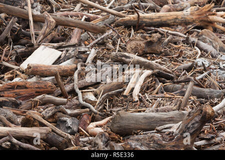 Treibholz am Ufer des Xiaoyeliu alias Siaoyeliu seaside malerische Gegend für seine einzigartigen Felsformationen bekannt, Taitung County, Taiwan Stockfoto