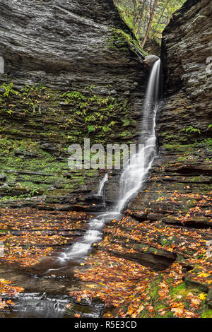 Eine schlanke Wandteppich von Whitewater Spritzer und Herbst Landschaft am unteren fällt von Excelsior Glen in der Finger Lakes Region des Staates New Yor Stockfoto