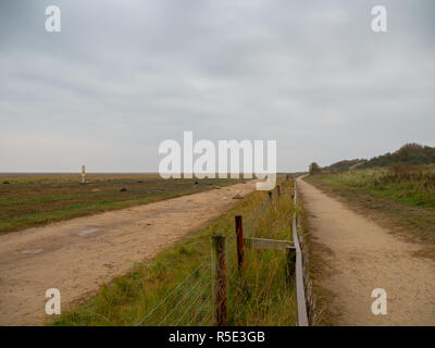 Der Zaun, Donna Nook Grau Robbenkolonie, Lincolnshire. Stockfoto