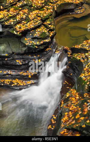 Wildwasser Spritzer durch felsige Rinnen mit bunten gefallenen Blätter im Herbst in Watkins Glen State Park, New York. Stockfoto
