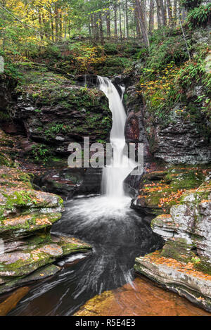 Adams fällt, eine von vielen wunderschönen Wasserfälle in Pennsylvania Ricketts Glen State Park, Spritzer durch eine felsige Schlucht im Herbst. Stockfoto