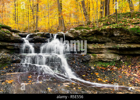 Tailwater fällt, eine wunderschöne kleine Wasserfall in Owen County, Indiana Lieber State Recreation Area, Kaskaden durch eine farbenfrohe Herbst Landschaft. Stockfoto