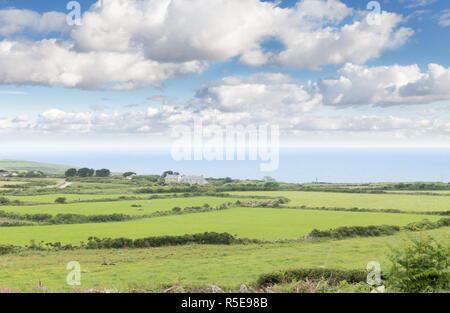 Idillic Landschaft mit Schafen, Lämmer, ram auf einer perfekt saftig grünen Rasen, Felder und Hügel in der Nähe von Meer, Cornwall, England, Vereinigtes Königreich Stockfoto