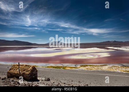 Fauna der Anden Eduardo Avaroa National Reserve in der Abteilung von Potosi Bolivien Stockfoto